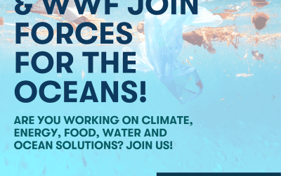 Impact Hub and WWF Join Forces for the Oceans!
