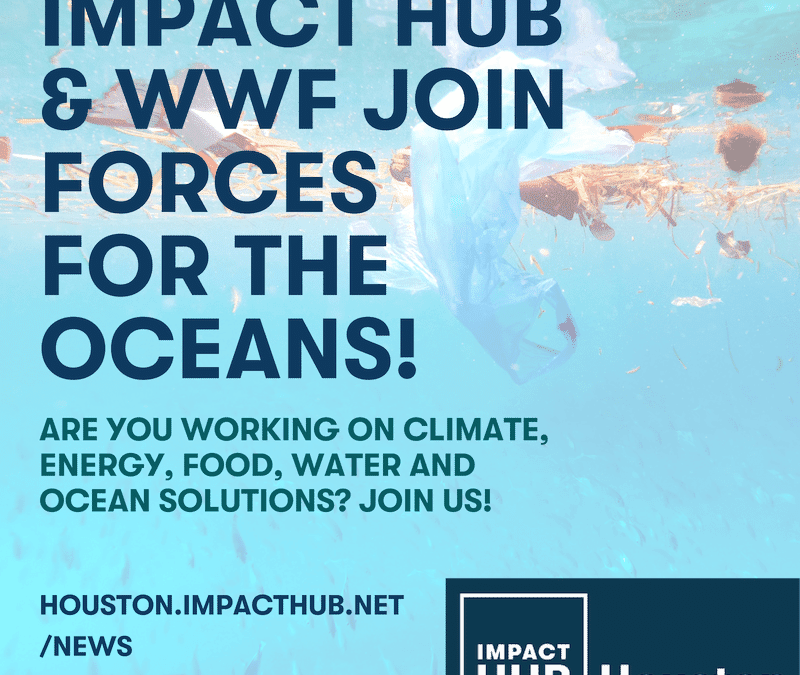 Impact Hub and WWF Join Forces for the Oceans!